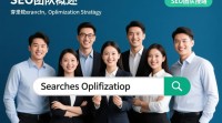 SEO团队究竟是如何运作和提升网站排名的？