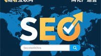 SEO究竟归属哪类运营范畴？