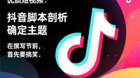 抖音脚本与分格剖析之道？揭秘制作秘诀！
