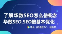 华数SEO使用方法详解，新手如何快速上手？