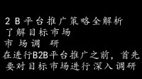 B2B平台推广策略有哪些关键点？