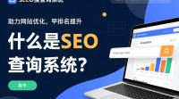 SEO查询系统有何特点和作用？