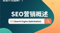 SEO谋，这究竟是什么品牌的SEO工具？