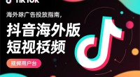 抖音海外版广告投放攻略？操作流程详解？