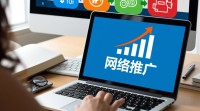 网络推广的关键要素有哪些？如何高效提升推广效果？