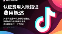 抖音认证费用入账流程详解？