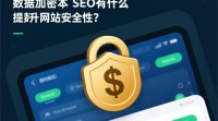 SSL证书对SEO的潜在优势是什么？