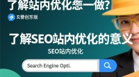 SEO站内优化有哪些关键步骤和技巧？