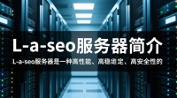 l-a-seo服务器类型及其特点是什么？