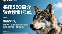 狼雨SEO事件真相揭秘，究竟是怎么回事？