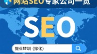 深圳哪家公司是真正的网站SEO专家？