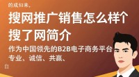 搜了网推广销售效果如何？真实评价揭秘