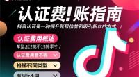 抖音认证费用入账流程及方式详解？