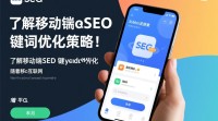 如何有效操作SEO移动关键词优化？