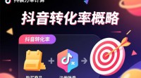 抖音转化率计算方法揭秘，30字揭秘核心技巧？