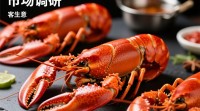 龙虾生意推广秘诀何在？30字标题，揭秘高效龙虾生意推广策略！