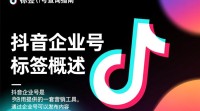 抖音企业号标签查询方法揭秘？