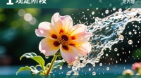 抖音上如何上传‘泼水成花’视频教程？