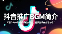 抖音背景音乐推广费用如何计算？