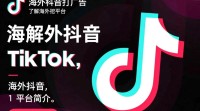 海外抖音广告投放攻略？30字疑问标题，海外抖音广告投放，有哪些策略与技巧？