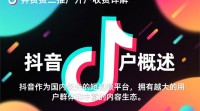 抖音推广开户收费标准是什么？价格构成如何？