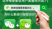 微信SEO为何如此关键？揭秘优化背后的原因！