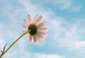 如何将抖音视频发送至全民k歌私信？